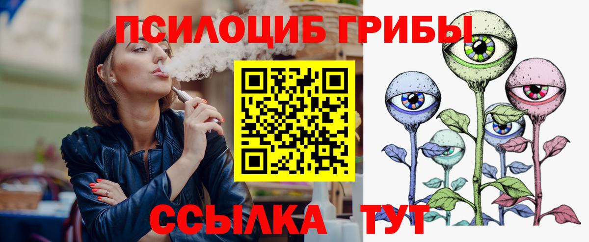 Шуя  Псилоцибиновые грибы MAGIC MUSHROOMS  Псилоцибиновые грибы Psilocybe  Вход с VPN 