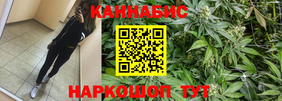 Шишки марихуана семена Шуя